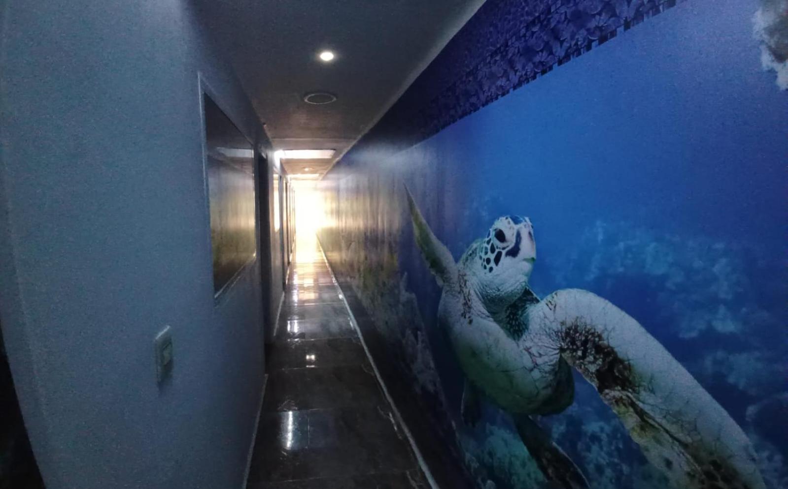 Hotel Dmauro Cartagena エクステリア 写真